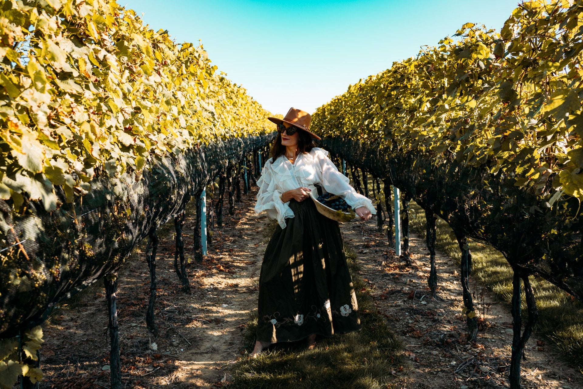 Alta Vendemmia