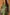 Florentine Midi Dress