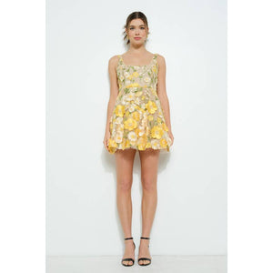 Sleeveless 3D Floral Embroidered Mini Dress