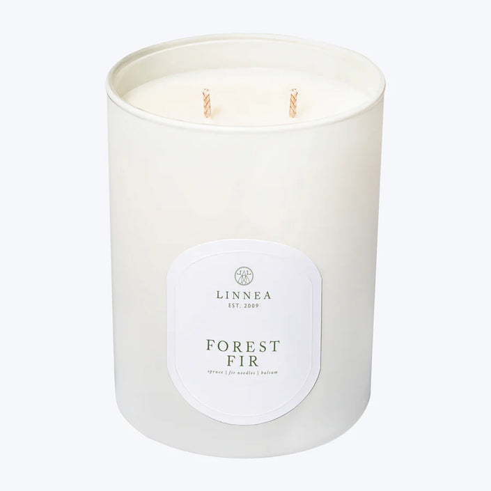 Linnea Forest Fir 11oz