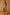 Florentine Midi Dress