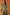 Florentine Midi Dress
