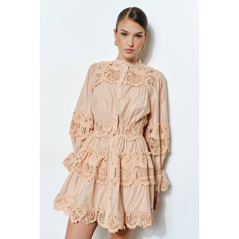 Delicate Lace Mini Dress