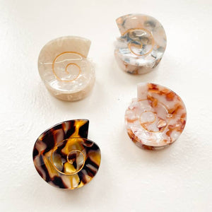 Cora Seashell Claw Clip
