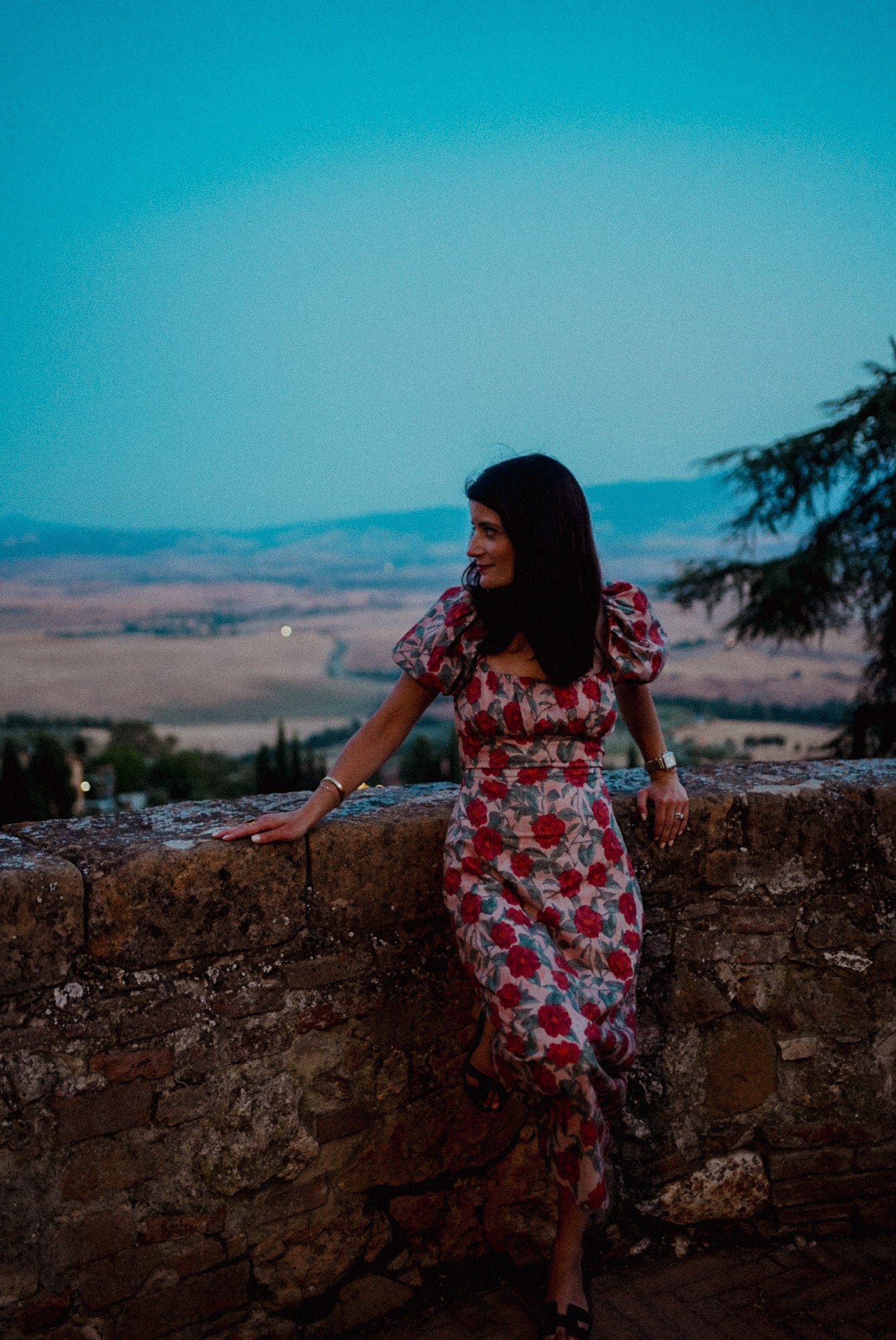 Sylvia Red Dress