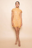 The Arancia Lace Dress