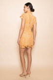 The Arancia Lace Dress
