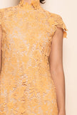 The Arancia Lace Dress