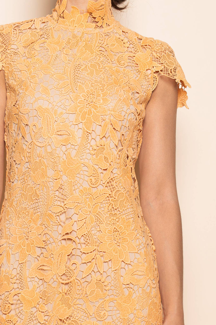 The Arancia Lace Dress